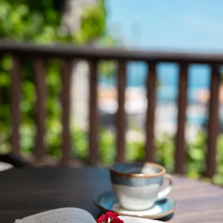 Harmony Hotell 4*